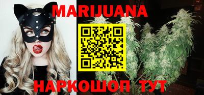 mdpv Можга