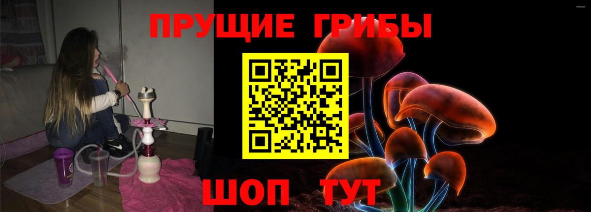 Тихвин  Псилоцибиновые грибы мицелий  Вход с VPN 